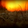 Images - ford sunrise frost 1.19.12 097.thumb